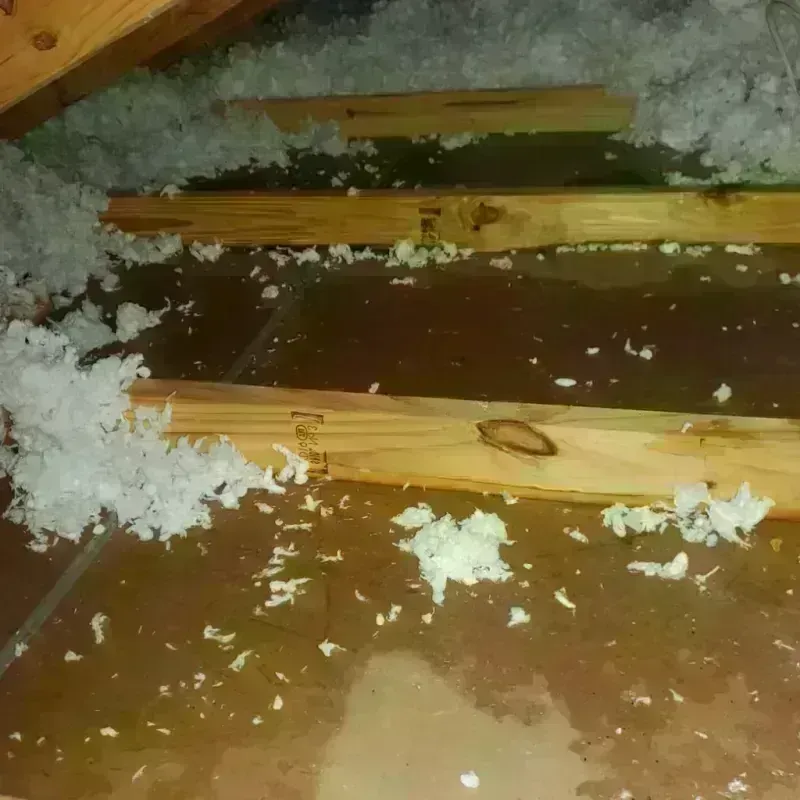 Attic Water Damage in Bolivia, NC