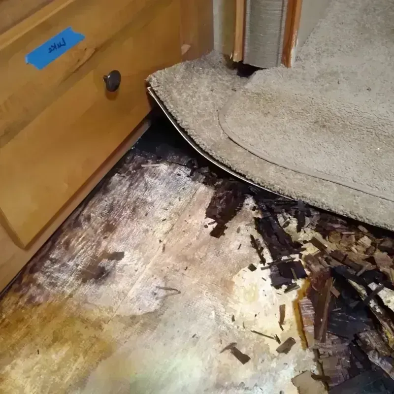 Wood Floor Water Damage in Bolivia, NC